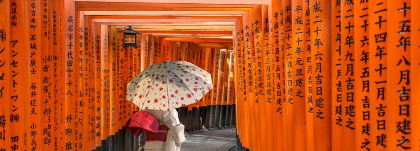 OECONOMİCA SAKURA ZAMANI JAPONYA