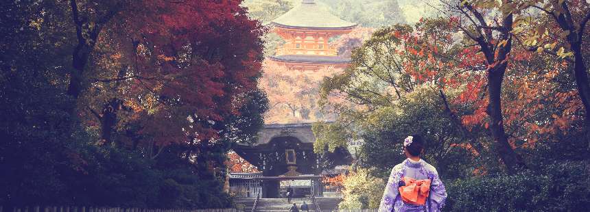 OECONOMİCA SAKURA ZAMANI JAPONYA