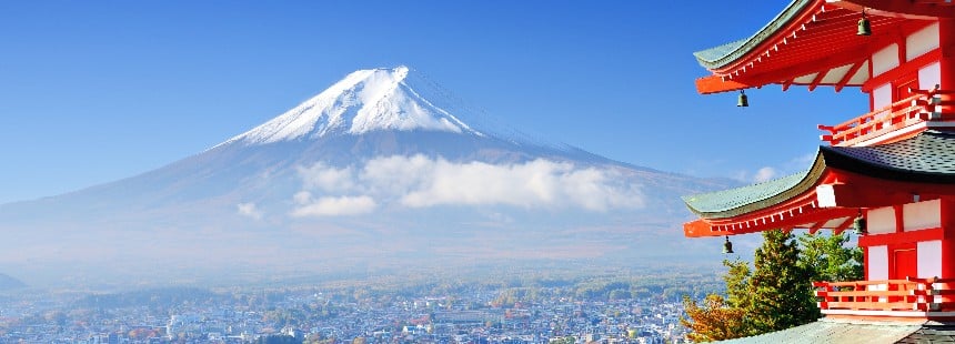 JAPONYA : GELENEKLER VE MODERNİTE - Sakura ve Mor Salkım Zamanı