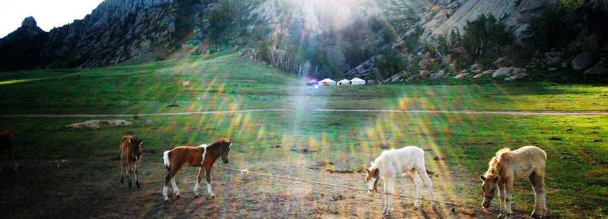 GÖKYÜZÜ ÜLKESİ MOĞOLİSTAN ve NAADAM FESTİVALİ