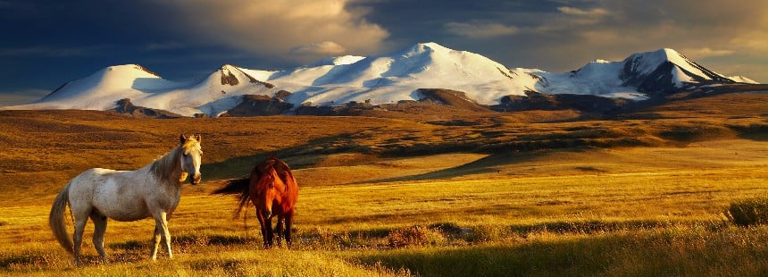 GÖKYÜZÜ ÜLKESİ MOĞOLİSTAN ve NAADAM FESTİVALİ