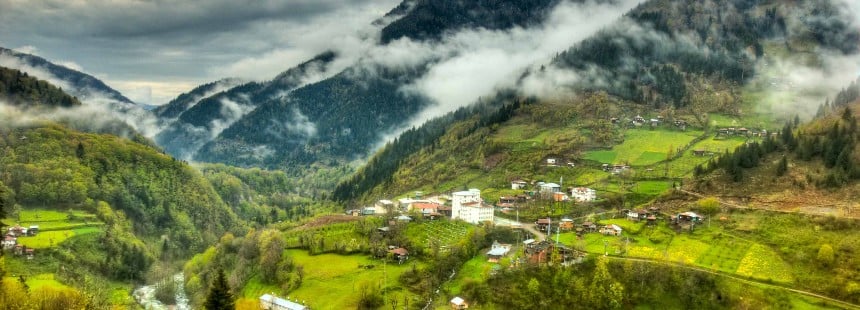 MAÇAHEL - BATUM / İki Ülke, İki Flora