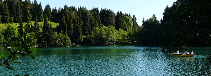 MAÇAHEL - BATUM / İki Ülke, İki Flora