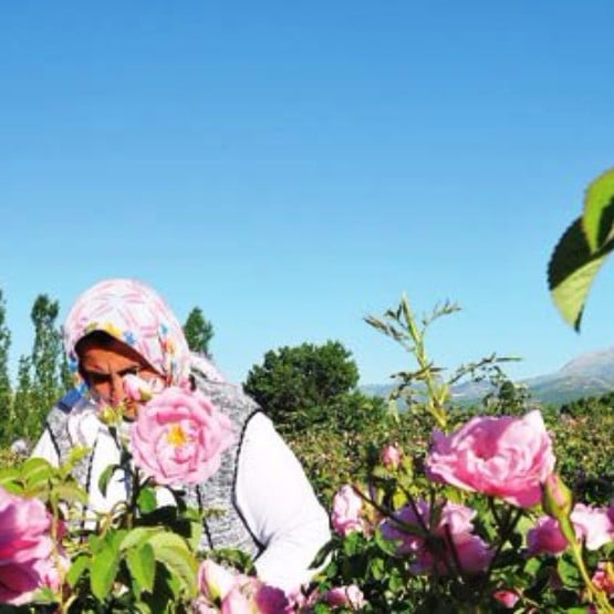 ISPARTA GÜL YOLU - SAGALASSOS