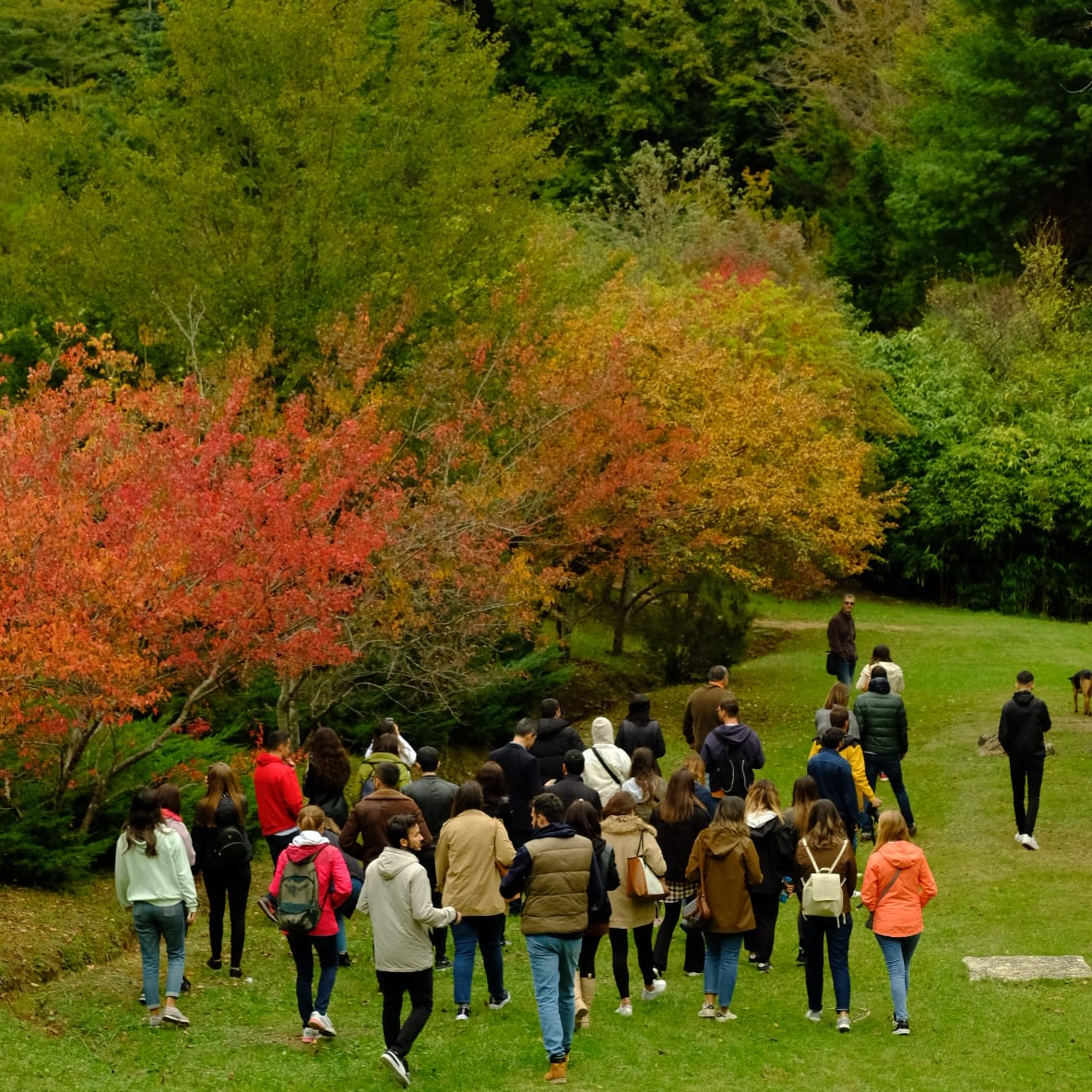 ATATÜRK ARBORETUMU ATATÜRK ARBORETUMU