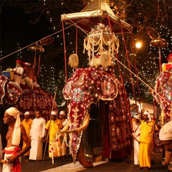 OECONOMICA: ŞRİ LANKA PERAHERA FESTİVALİ 