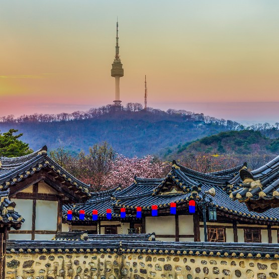OECONOMICA: GÜNEY KORE VE JAPONYA