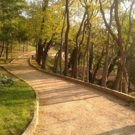 MAÇKA-TEŞVİKİYE-NİŞANTAŞI