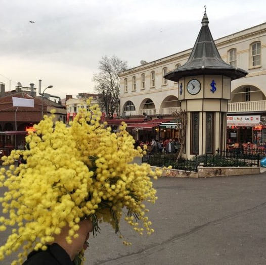 BAHARIN GELİŞİYLE BÜYÜKADA