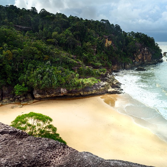 BORNEO ADASI  VE MALEZYA
