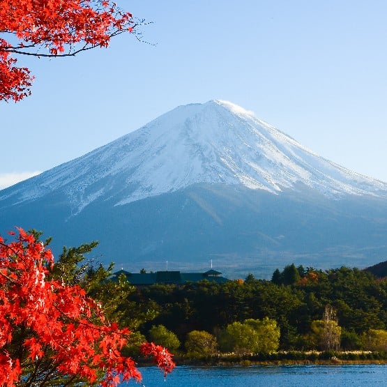 JAPONYA GEZİSİ: GELENEKLER VE MODERNİTE (Sakura - Kiraz Çiçekleri Zamanı)