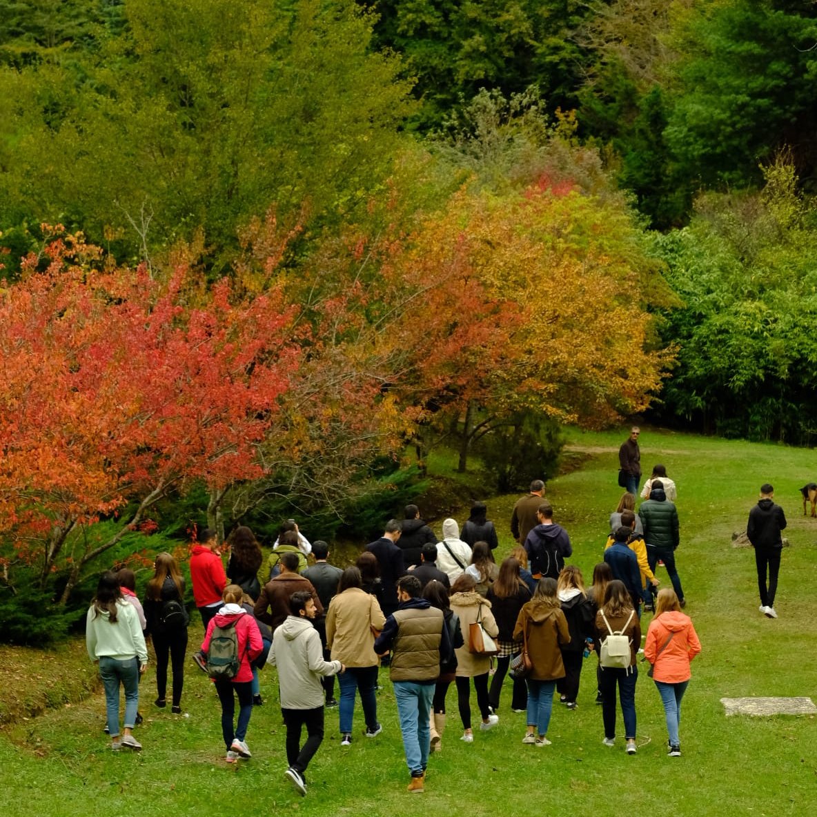  İSTANBUL'DA SUYUN ÖYKÜSÜ: BELGRAD ORMANI VE ATATÜRK ARBORETUMU