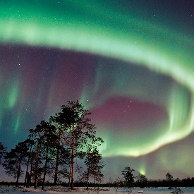 LAPLAND KUZEY FİNLANDİYA GEZİSİ 