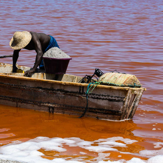 Explore Ortaklığı ile Batı Afrika; Senegal ve Gambiya 