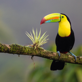 Explore Ortaklığı ile Kosta Rika - El Salvador - Guatemala- Honduras- Nikaragua