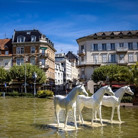 BADEN - BADEN GEZİSİ