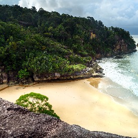 BORNEO ADASI  VE MALEZYA