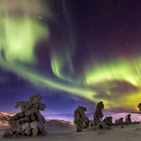 OECONOMICA LAPLAND 