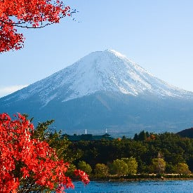 JAPONYA GEZİSİ: GELENEKLER VE MODERNİTE (Sakura - Kiraz Çiçekleri Zamanı)