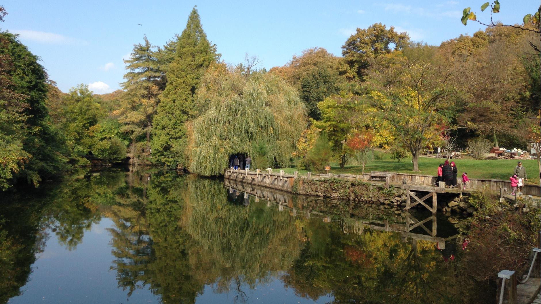 İSTANBUL'DA SUYUN ÖYKÜSÜ: BELGRAD ORMANI VE ATATÜRK ARBORETUMU