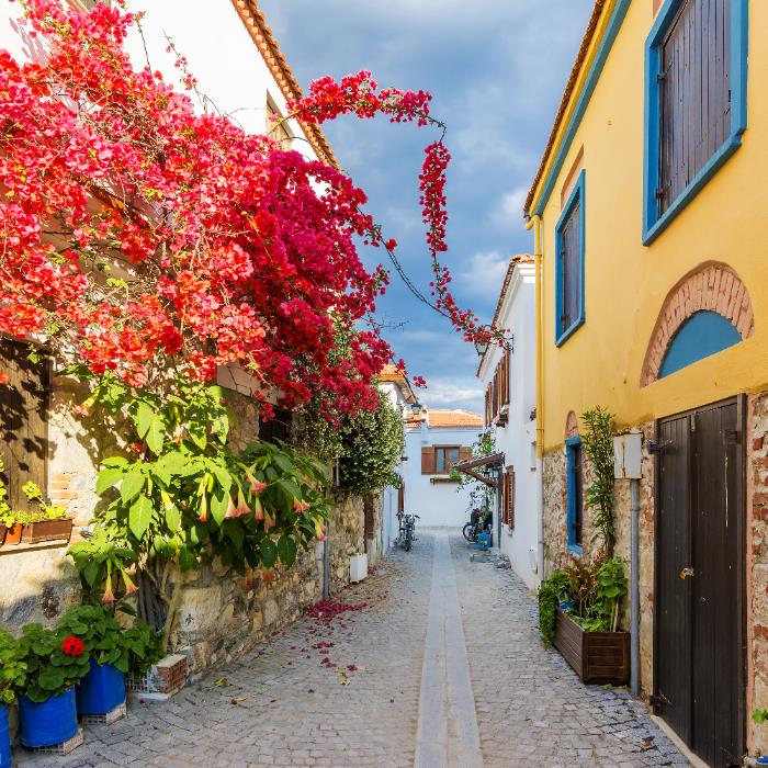 BİR YUDUM EGE  BİR NEFES URLA’DA ŞARAP TADIMI