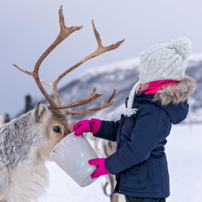 OECONOMICA LAPLAND