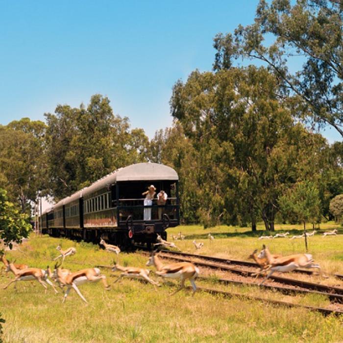 ROVOS TRENİ İLE NAMİBYA SAFARİSİ 