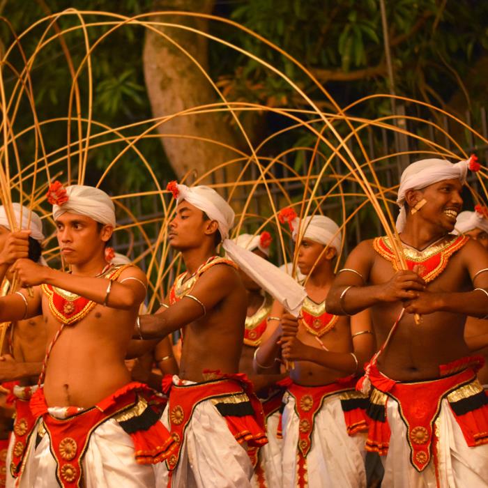 ŞRİ LANKA PERAHERA FESTİVALİ
