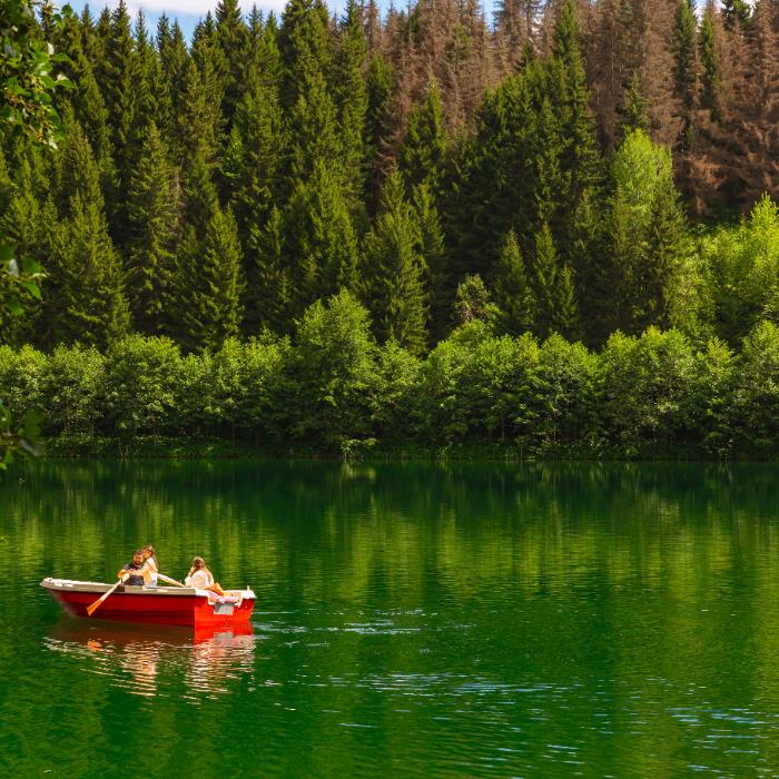 ARTVİN YUSUFELİ ŞAVŞAT 