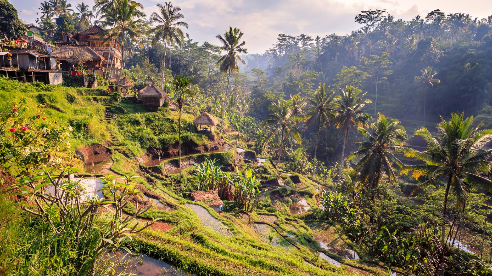 Singapur, Ubud ve Bali
