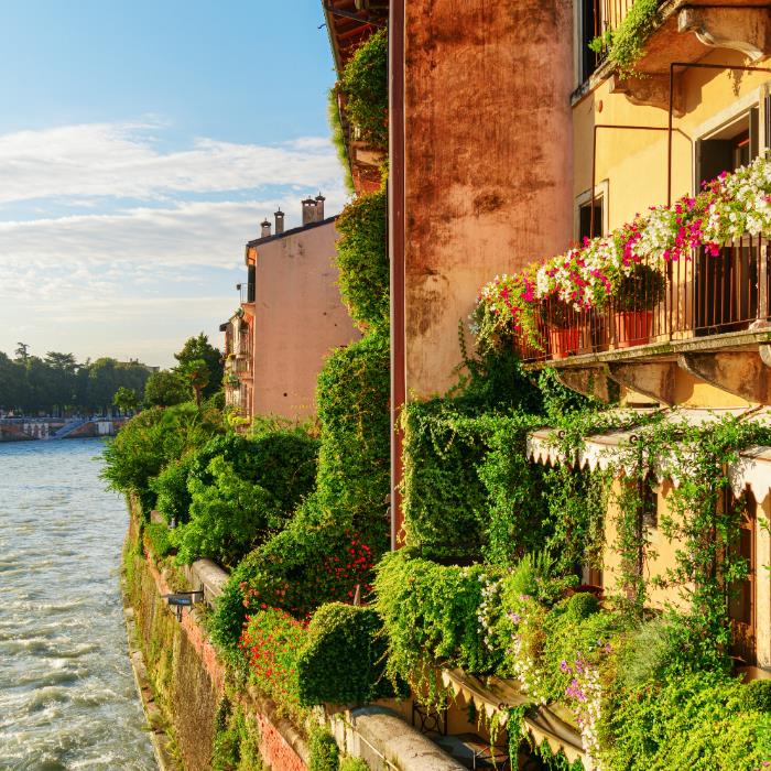 VERONA'DA OPERA VE BAĞ ROTALARI