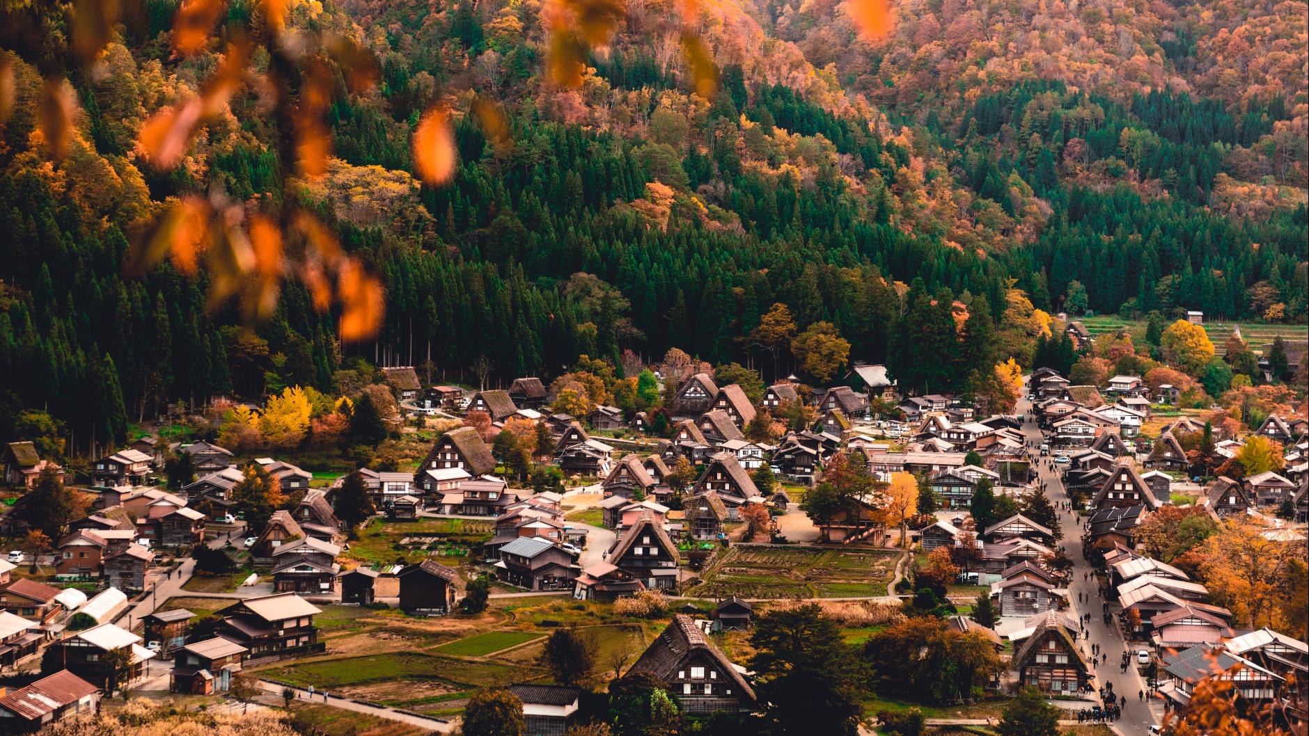 SONBAHAR RENKLERİYLE JAPONYA