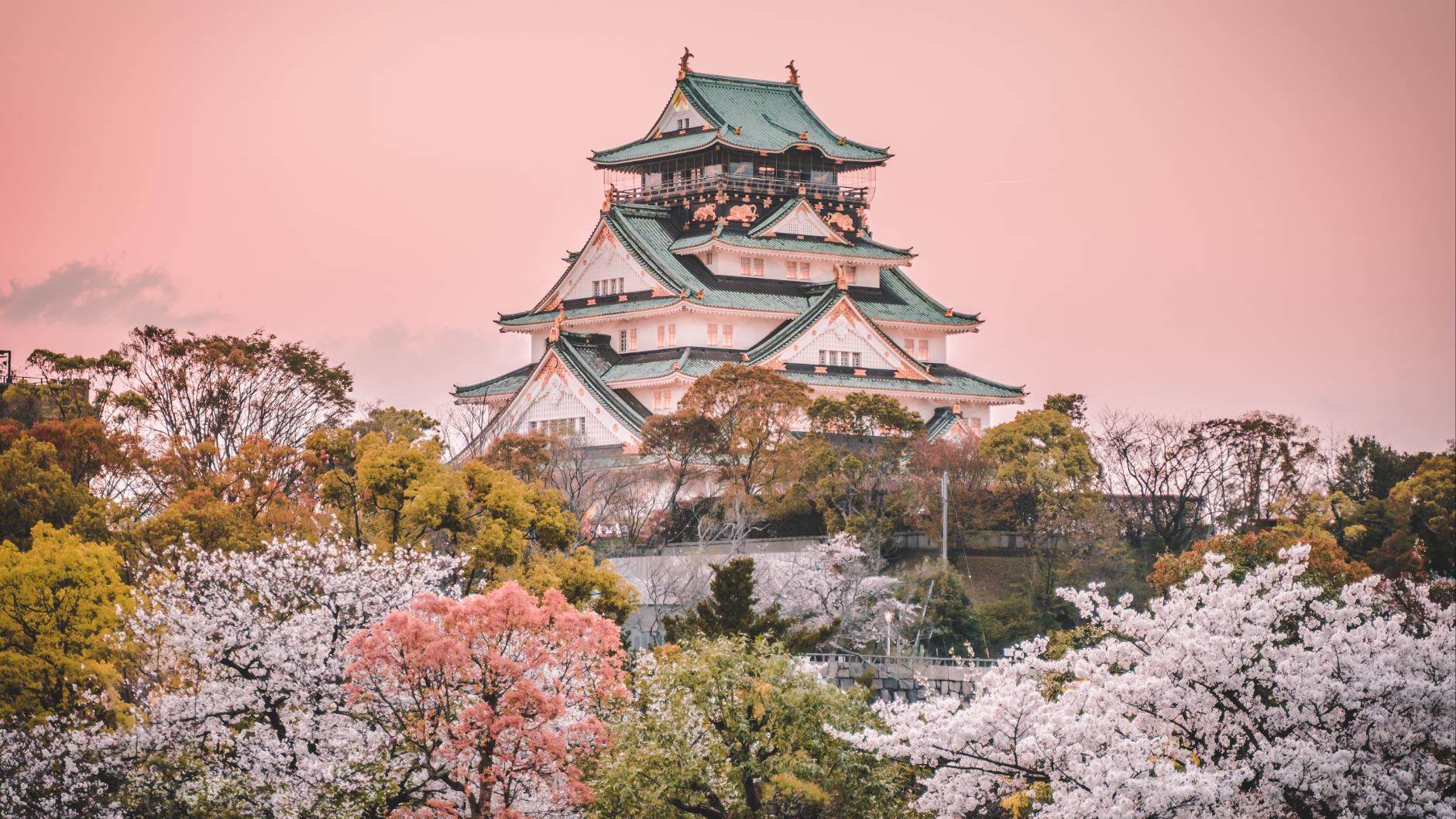JAPONYA TURU