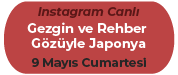 Rehber-gezgin